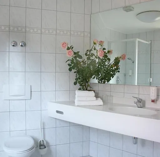Weinhotel Rose 3* Volkach